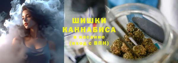 спайс Михайлов