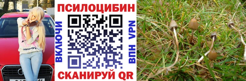 дарнет шоп  Новокузнецк  Галлюциногенные грибы Magic Shrooms 