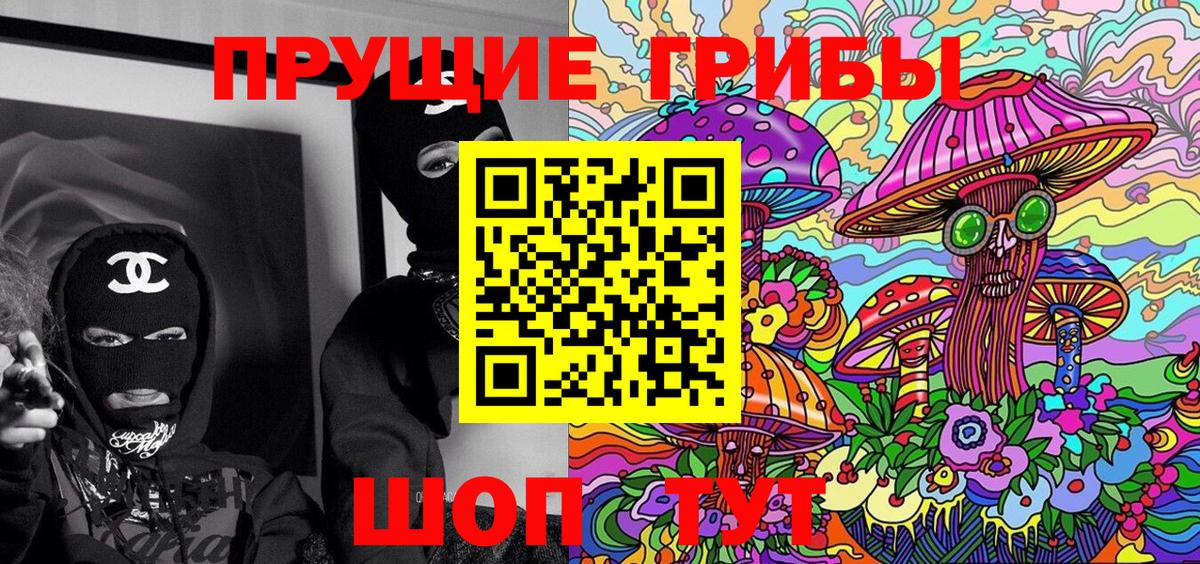 Новокузнецк  Псилоцибиновые грибы Cubensis  Вход с VPN  Псилоцибиновые грибы Psilocybe 