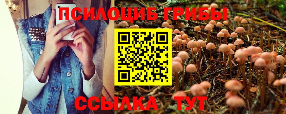 Галлюциногенные грибы MAGIC MUSHROOMS Новокузнецк